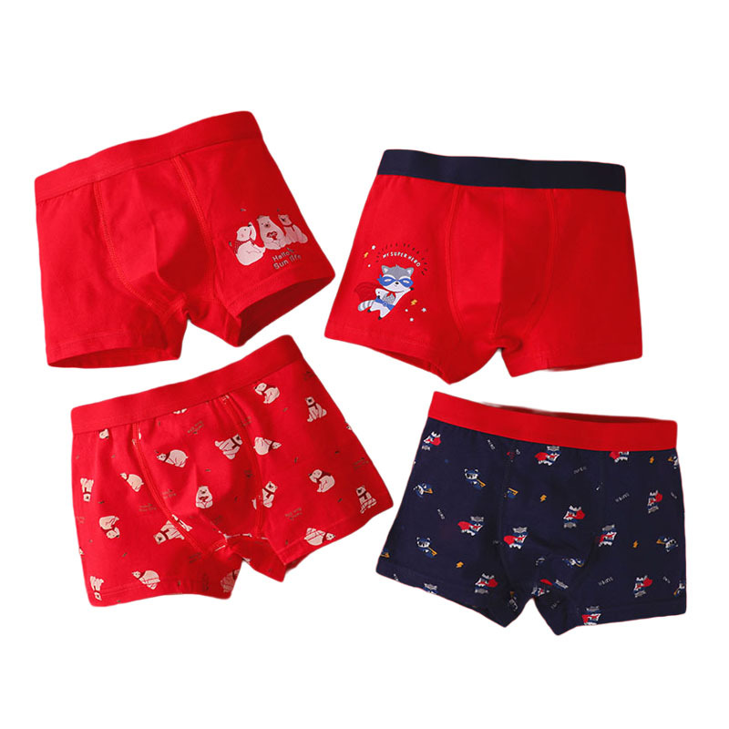 Wäsche |  Herren Lange Boxer (2Er Pack)